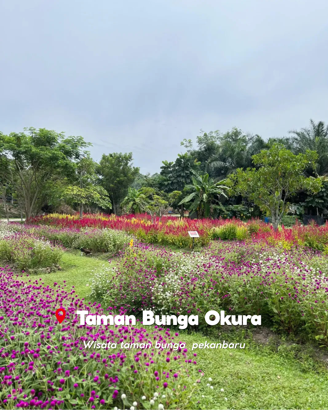 Taman Bunga Okura rumbai pekanbaru